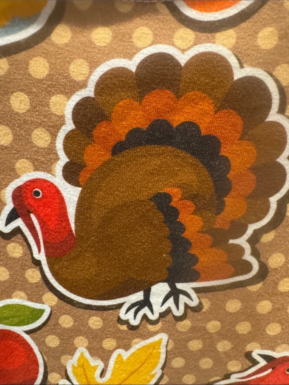 Sweet Petunia Thanksgiving Top